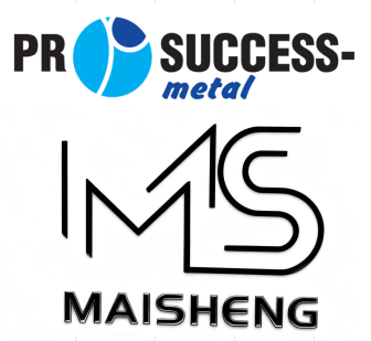 About MS About MS